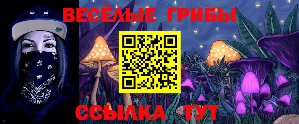 Псилоцибиновые грибы Magic Shrooms  Вход с VPN  закладки  Аша  Псилоцибиновые грибы ЛСД 